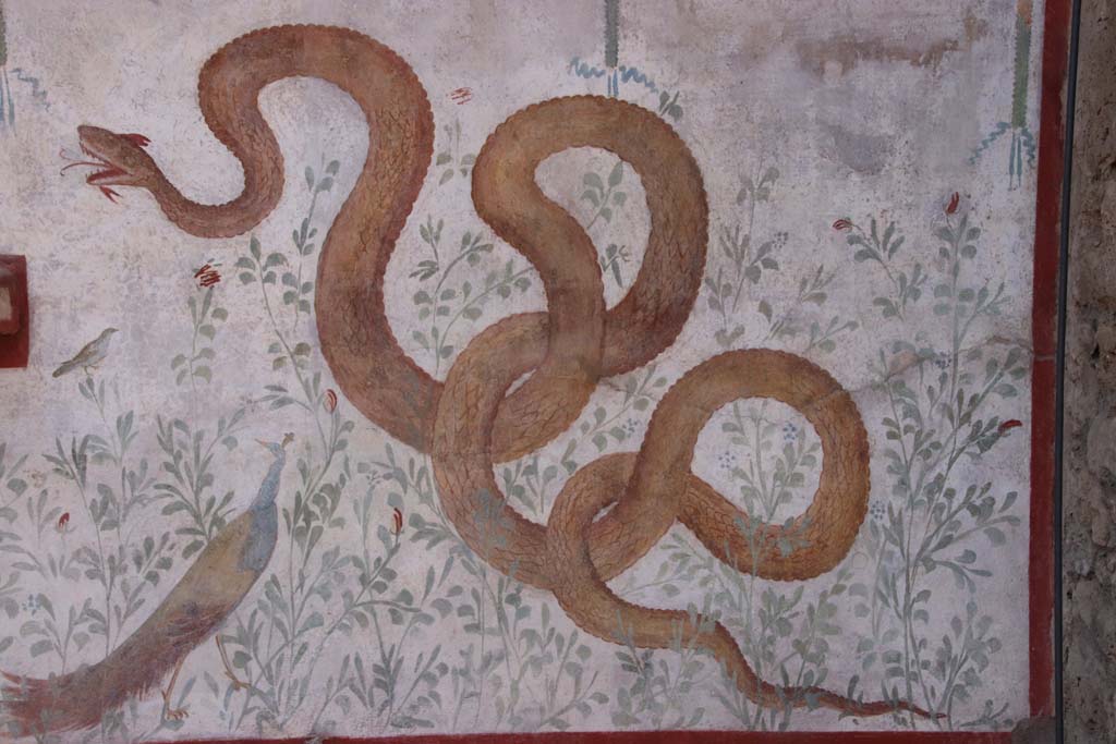 I.6.2 Pompeii. September 2019. Large serpent, on the painted lararium, above bird and peacock.   
Photo courtesy of Klaus Heese.