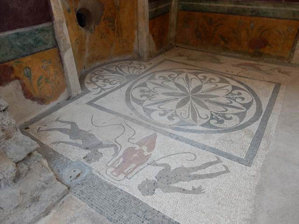 I.6.2 Pompeii. May 2017. Black and white mosaic floor with some coloured tesserae, in the caldarium near rear entrance at I.6.16. See other pictures at I.6.16. Photo courtesy of Buzz Ferebee.