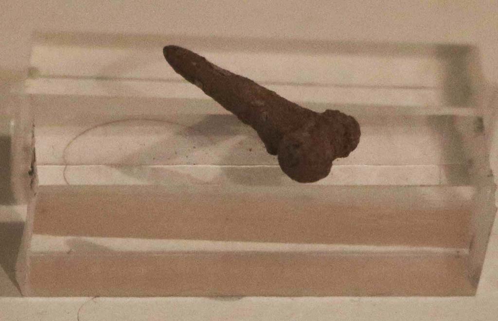 I.6.3 Pompeii. December 2018. Silver amulet in the form of a phallus. PAP inventory number 1431C.
Photo courtesy of Aude Durand.