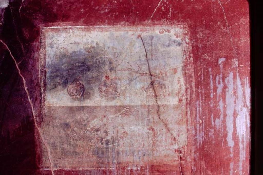 I.6.4 Pompeii.  1968. Room 2, wall painting of still life with figs, in centre of north wall.
Photo by Stanley A. Jashemski.
Source: The Wilhelmina and Stanley A. Jashemski archive in the University of Maryland Library, Special Collections (See collection page) and made available under the Creative Commons Attribution-Non Commercial License v.4. See Licence and use details.
J68f0463