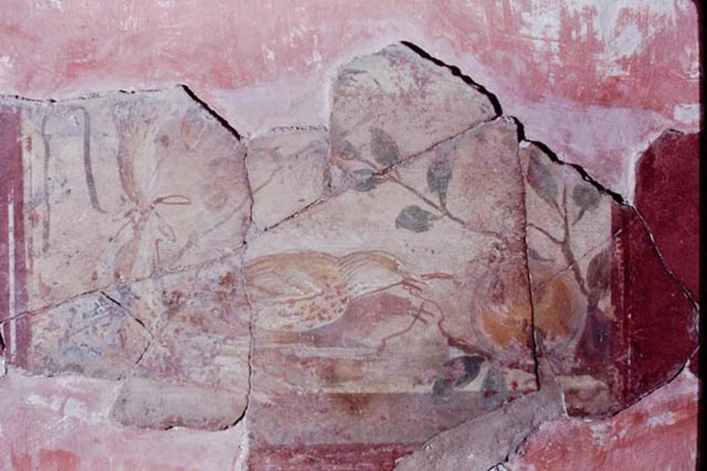 I.6.4 Pompeii. 1968. Room 2, east wall, remains of painting of bird with fruit. Photo by Stanley A. Jashemski.
Source: The Wilhelmina and Stanley A. Jashemski archive in the University of Maryland Library, Special Collections (See collection page) and made available under the Creative Commons Attribution-Non Commercial License v.4. See Licence and use details.
J68f0466