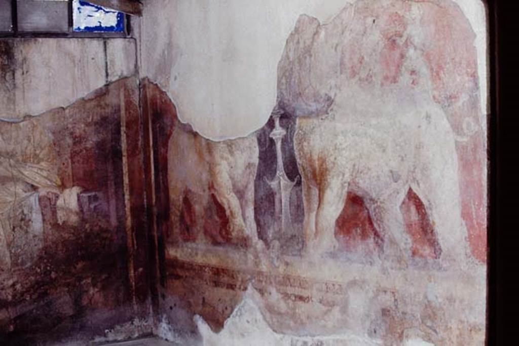 I.6.4 Pompeii, 1968.  Room 11, north-east corner. Photo by Stanley A. Jashemski.
Source: The Wilhelmina and Stanley A. Jashemski archive in the University of Maryland Library, Special Collections (See collection page) and made available under the Creative Commons Attribution-Non Commercial License v.4. See Licence and use details.
J68f0468