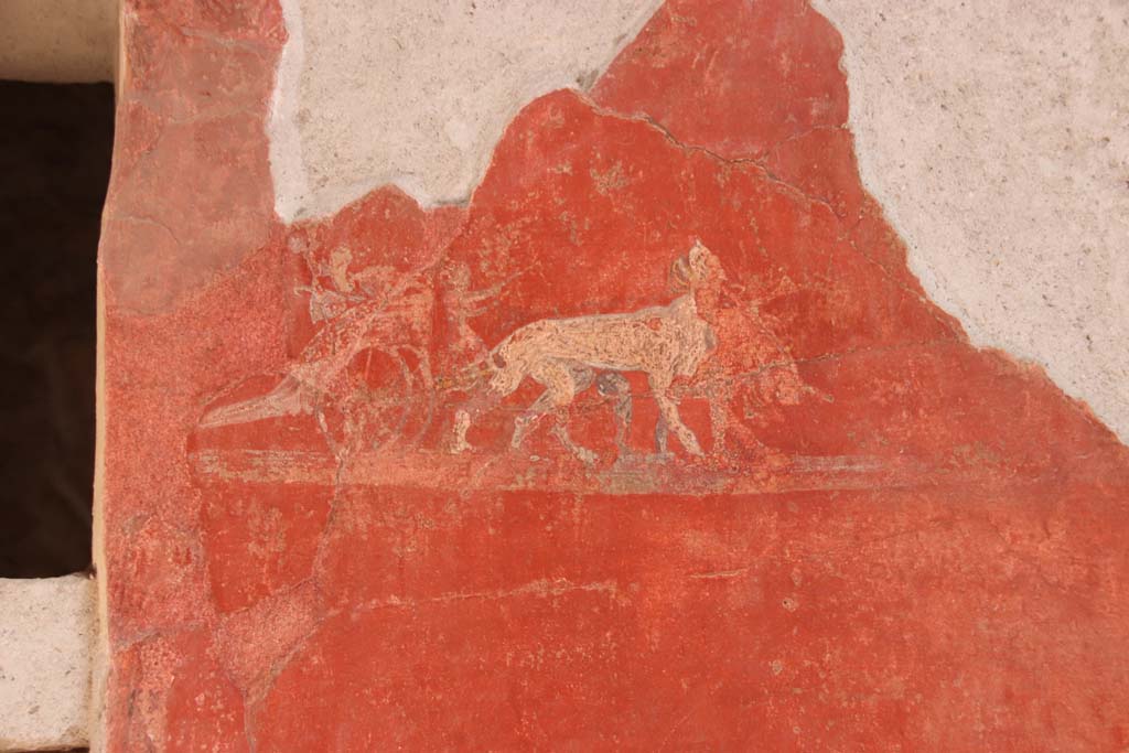 I.6.7 Pompeii. September 2019. 
Detail of fresco in north-east corner of atrium, on south side of doorway. Photo courtesy of Klaus Heese.
Kuivalainen describes –
A composition of a chariot drawn by two panthers on a red background. 
The two-wheeled chariot displays Bacchic attributes such as scyphus and cantharus, and a child figure leading the panthers beside the chariot.
Kuivalainen comments –
The painting is so damaged that the explanation cannot be explicit, with Bacchus however being a fair possibility. 
See Kuivalainen, I., 2021. The Portrayal of Pompeian Bacchus. Commentationes Humanarum Litterarum 140. Helsinki: Finnish Society of Sciences and Letters, (G20, p.201).