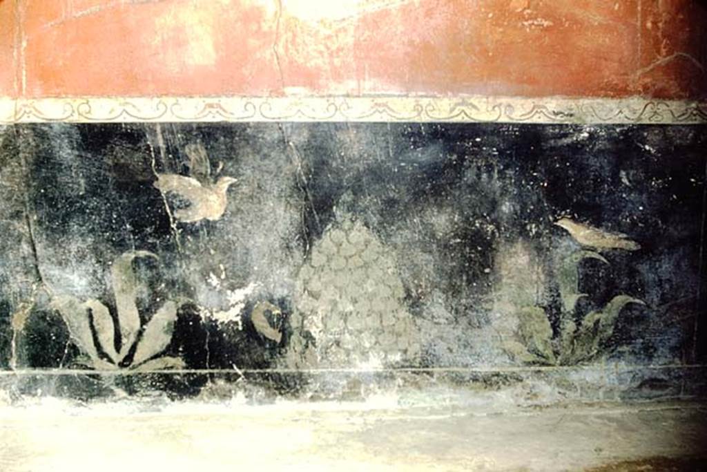 I.6.7 Pompeii. 1959. Detail from zoccolo in centre of north wall of oecus to east of atrium. 
On the black zoccolo were two painted birds, an omphalos of ivy, and painted plants
Photo by Stanley A. Jashemski.
Source: The Wilhelmina and Stanley A. Jashemski archive in the University of Maryland Library, Special Collections (See collection page) and made available under the Creative Commons Attribution-Non Commercial License v.4. See Licence and use details.
J59f0171