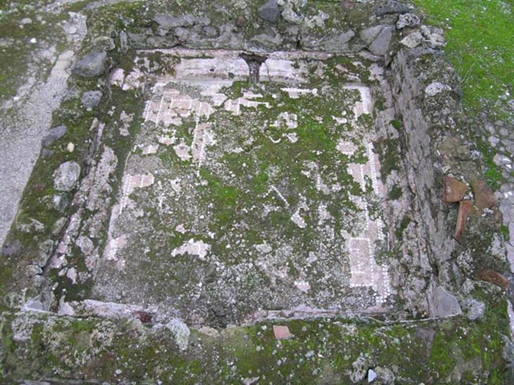 I.6.9 Pompeii. October 2004. Impluvium base, looking south. Photo courtesy of Nicolas Monteix.
According to PPM the impluvium had a base of cocciopesto decorated in white tesserae. 
A network of diamond shapes enclosed by a double border with meanders and squares.
See Carratelli, G. P., 1990-2003. Pompei: Pitture e Mosaici. Vol. 1. Roma: Istituto della enciclopedia italiana, p. 353.