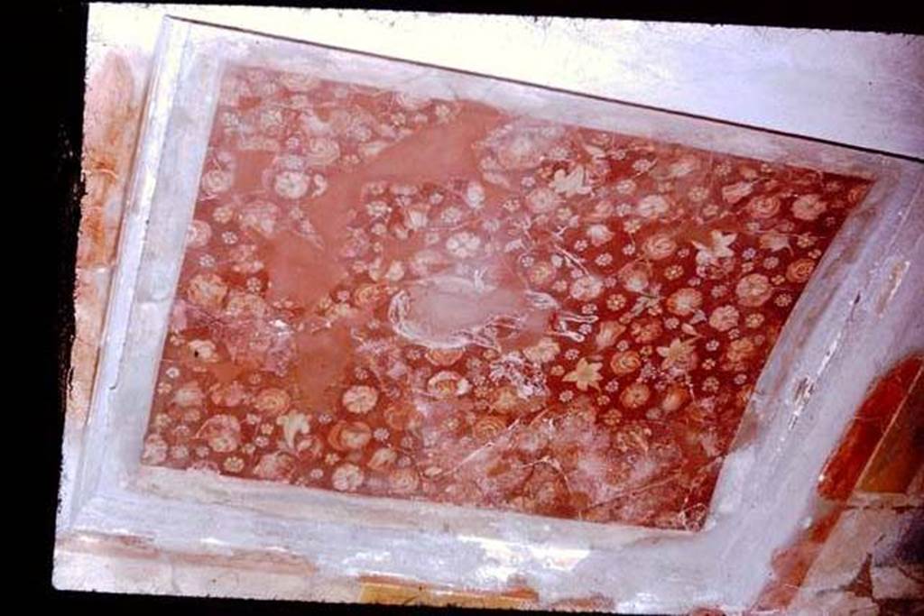I.6.11 Pompeii. 1968. Decorated ceiling of second cubiculum on east side of atrium. Photo by Stanley A. Jashemski.
Source: The Wilhelmina and Stanley A. Jashemski archive in the University of Maryland Library, Special Collections (See collection page) and made available under the Creative Commons Attribution-Non Commercial License v.4. See Licence and use details.
J68f1766