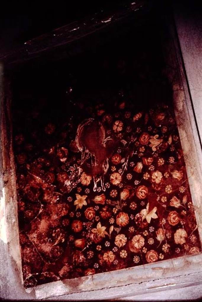 I.6.11 Pompeii. 1964. Decorated ceiling of second cubiculum on east side of atrium. Photo by Stanley A. Jashemski.
Source: The Wilhelmina and Stanley A. Jashemski archive in the University of Maryland Library, Special Collections (See collection page) and made available under the Creative Commons Attribution-Non Commercial License v.4. See Licence and use details.
J64f1100