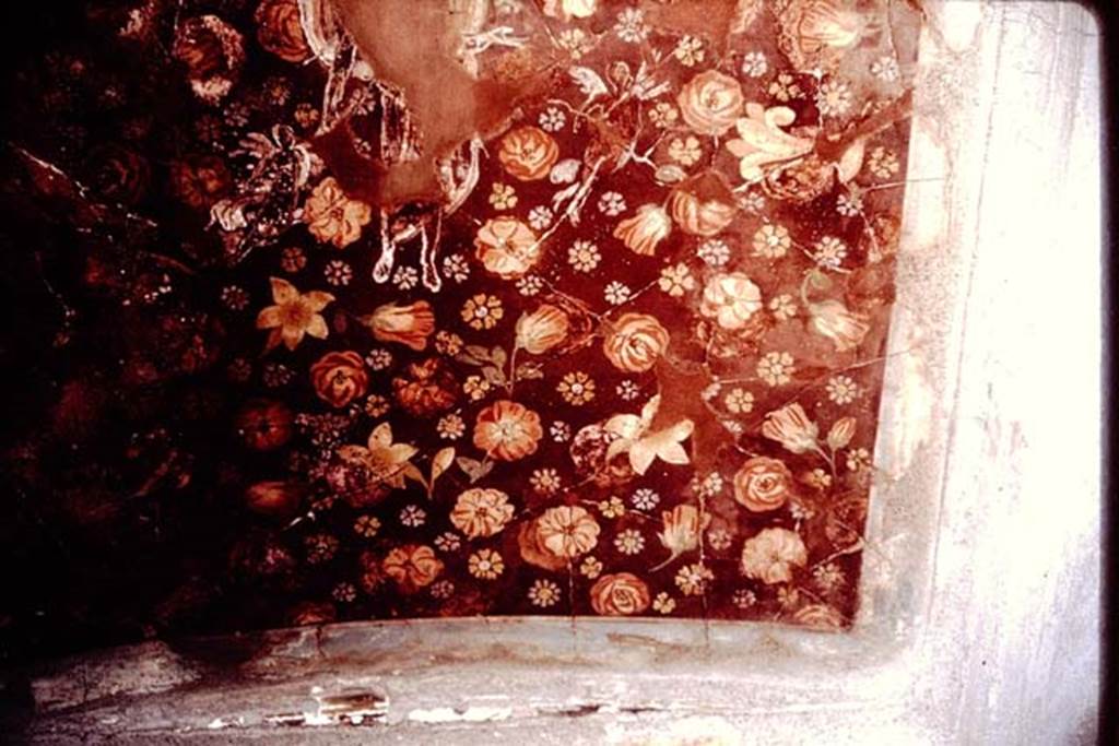 I.6.11 Pompeii. 1964. Detail from decorated ceiling. Photo by Stanley A. Jashemski.
Source: The Wilhelmina and Stanley A. Jashemski archive in the University of Maryland Library, Special Collections (See collection page) and made available under the Creative Commons Attribution-Non Commercial License v.4. See Licence and use details.
J64f1109