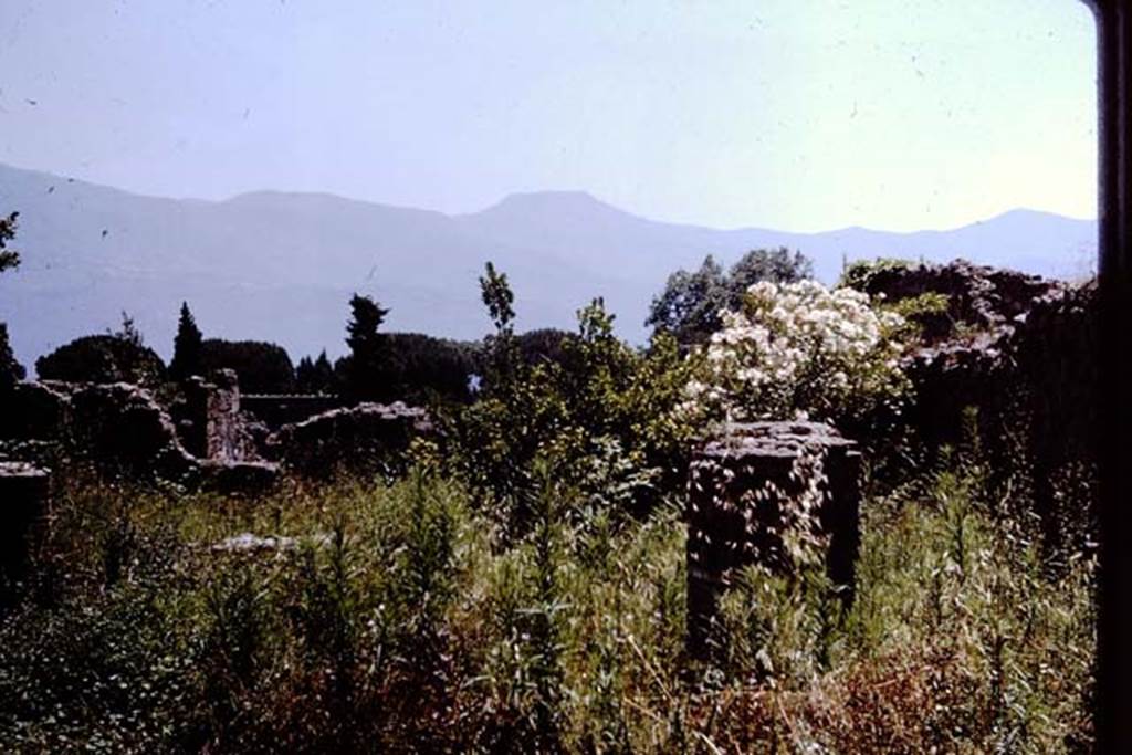 I.6.11 Pompeii. 1964. Looking south across peristyle garden. Photo by Stanley A. Jashemski.
Source: The Wilhelmina and Stanley A. Jashemski archive in the University of Maryland Library, Special Collections (See collection page) and made available under the Creative Commons Attribution-Non Commercial License v.4. See Licence and use details.
J64f1103