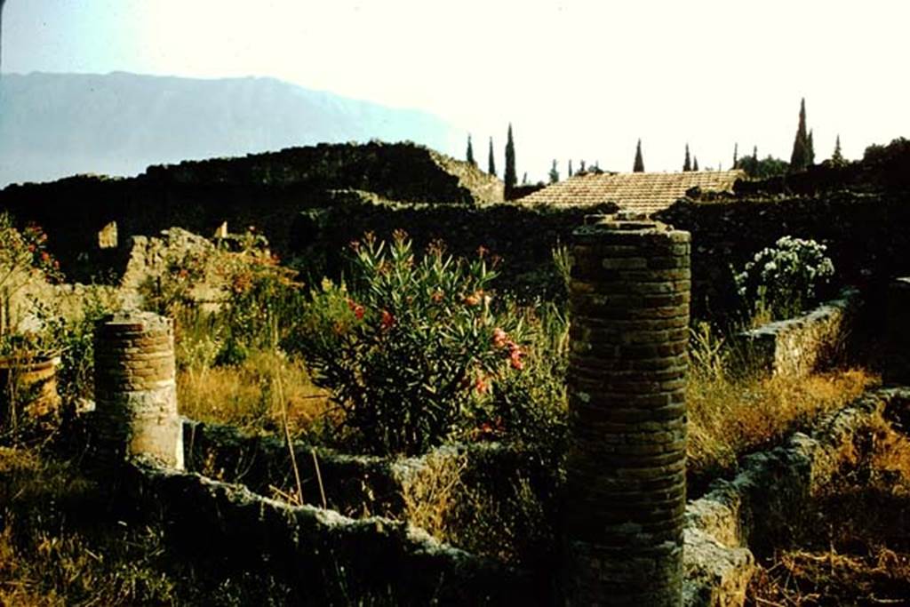 I.6.11 Pompeii. 1957. Looking south-west across garden area. Photo by Stanley A. Jashemski.
Source: The Wilhelmina and Stanley A. Jashemski archive in the University of Maryland Library, Special Collections (See collection page) and made available under the Creative Commons Attribution-Non Commercial License v.4. See Licence and use details.
J57f0260