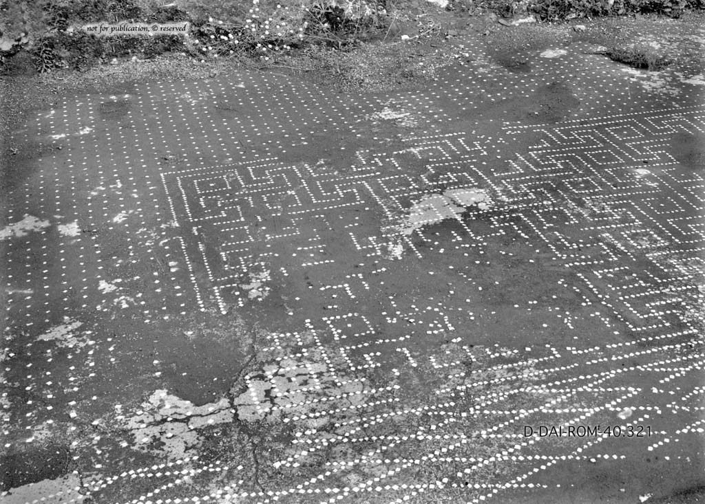 I.6.13 Pompeii. c.1930. Flooring in tablinum 6.  
DAIR 40.321. Photo © Deutsches Archäologisches Institut, Abteilung Rom, Arkiv.
See Pernice, E.  1938. Pavimente und Figürliche Mosaiken: Die Hellenistische Kunst in Pompeji, Band VI. Berlin: de Gruyter, (p.42, and tav. 11.4 above.)
