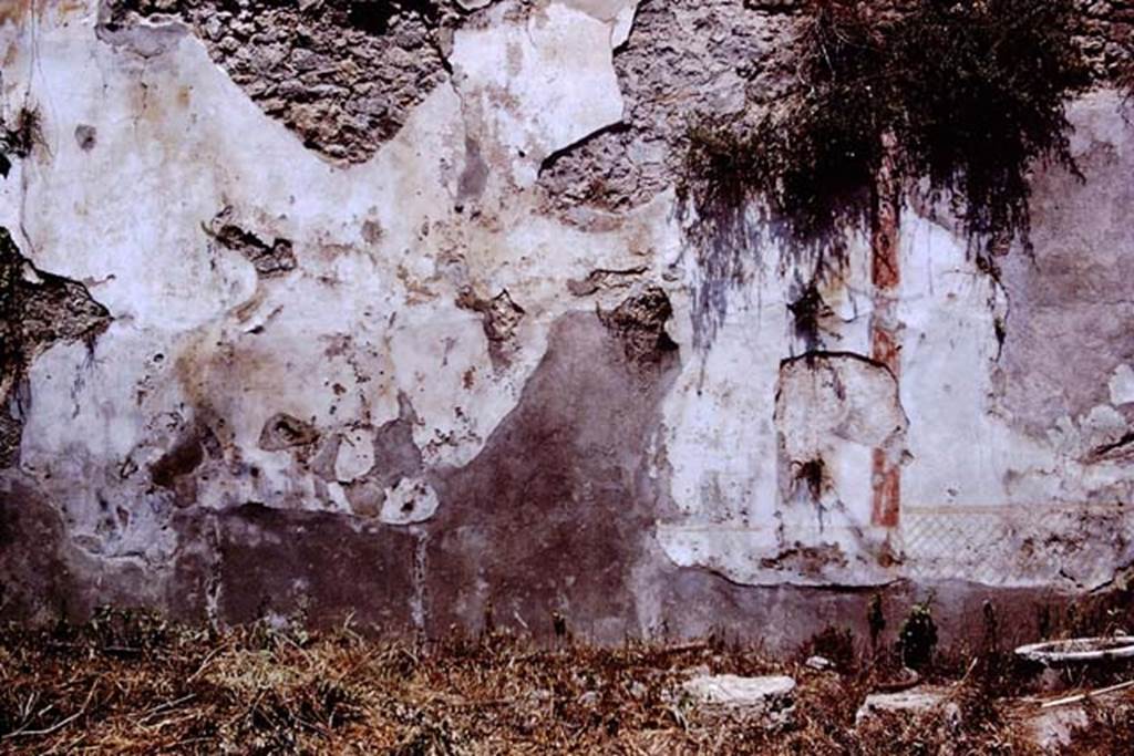 I.6.13 Pompeii. 1972. North wall of garden area, with painted garden scene. Photo by Stanley A. Jashemski. 
Source: The Wilhelmina and Stanley A. Jashemski archive in the University of Maryland Library, Special Collections (See collection page) and made available under the Creative Commons Attribution-Non Commercial License v.4. See Licence and use details. J72f0054