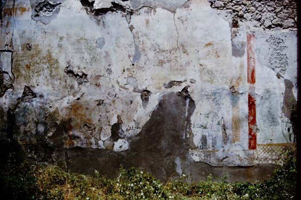 I.6.13 Pompeii. 1964. North wall of garden area, with painted garden scene.  Photo by Stanley A. Jashemski.
Source: The Wilhelmina and Stanley A. Jashemski archive in the University of Maryland Library, Special Collections (See collection page) and made available under the Creative Commons Attribution-Non Commercial License v.4. See Licence and use details.
J64f1210