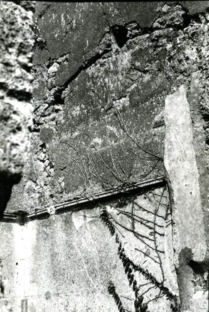 I.6.13 Pompeii. 1975. Domus of Stallius Eros, room in NE corner of atrium, E wall. 
Photo courtesy of Anne Laidlaw.
American Academy in Rome, Photographic Archive. Laidlaw collection _P_75_5_10.