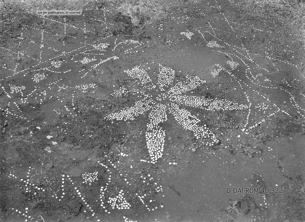 I.6.13 Pompeii. c.1930. Flooring in triclinium 4.  
DAIR 40.322. Photo © Deutsches Archäologisches Institut, Abteilung Rom, Arkiv.
See Pernice, E.  1938. Pavimente und Figürliche Mosaiken: Die Hellenistische Kunst in Pompeji, Band VI. Berlin: de Gruyter, (p.42, and tav. 11.5 above.)