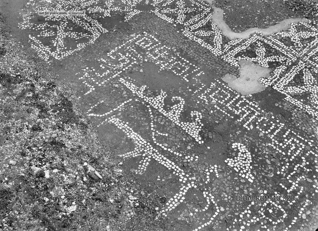 I.6.13 Pompeii. c.1930. Flooring in room 9.   
DAIR 40.323. Photo © Deutsches Archäologisches Institut, Abteilung Rom, Arkiv.
See Pernice, E.  1938. Pavimente und Figürliche Mosaiken: Die Hellenistische Kunst in Pompeji, Band VI. Berlin: de Gruyter, (p.42, and tav. 11.6 above.)