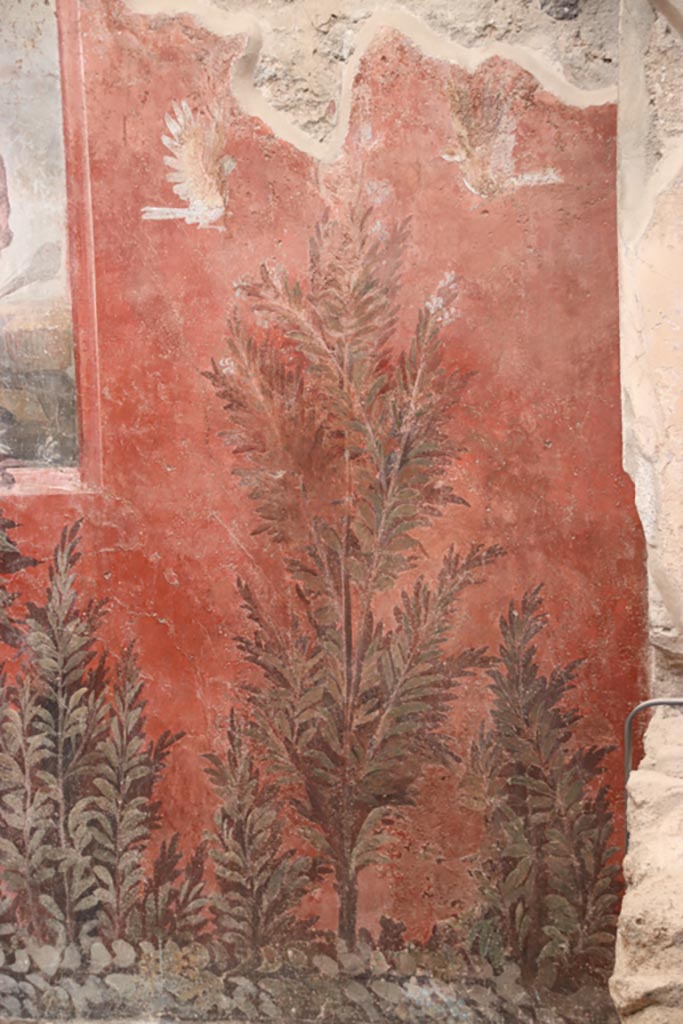 I.6.15 Pompeii. October 2023.
Room 9, detail of plant paintings on south side of window in east wall of small garden. 
Photo courtesy of Klaus Heese.