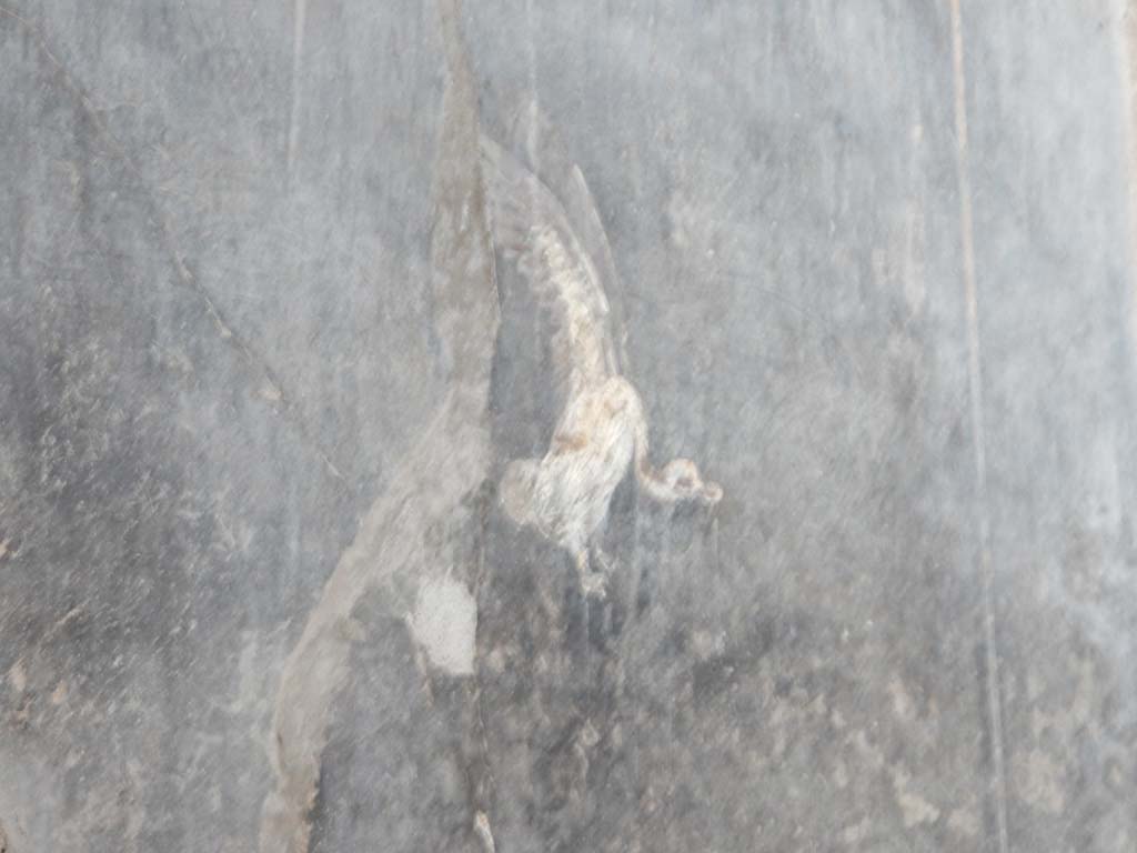 I.6.15 Pompeii. June 2019. Room 12, painted decoration from panel on west wall. 
Photo courtesy of Buzz Ferebee.