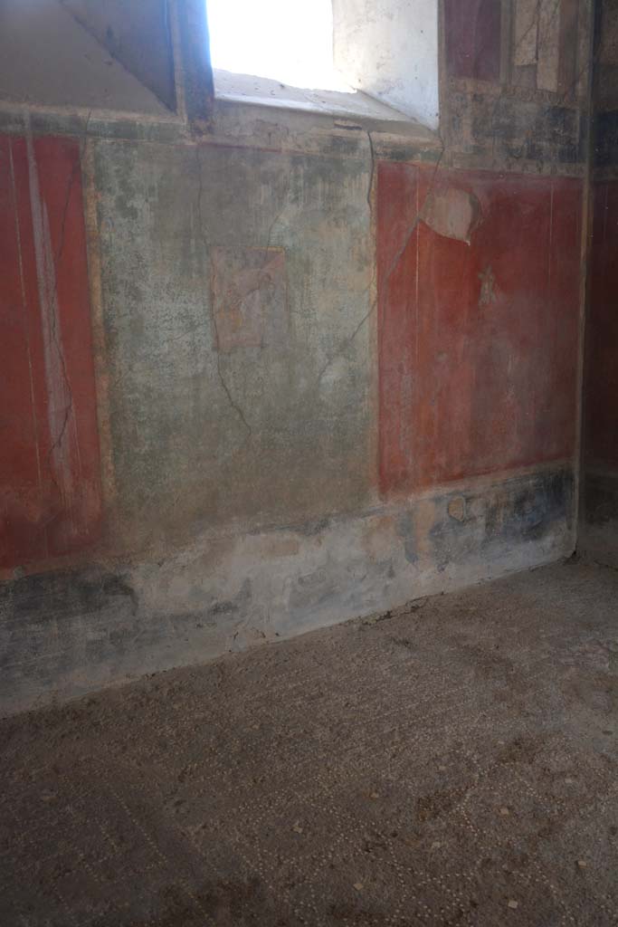 I.6.15 Pompeii. October 2019. Room 13, detail of central panel on south wall.         
Foto Annette Haug, ERC Grant 681269 DÉCOR