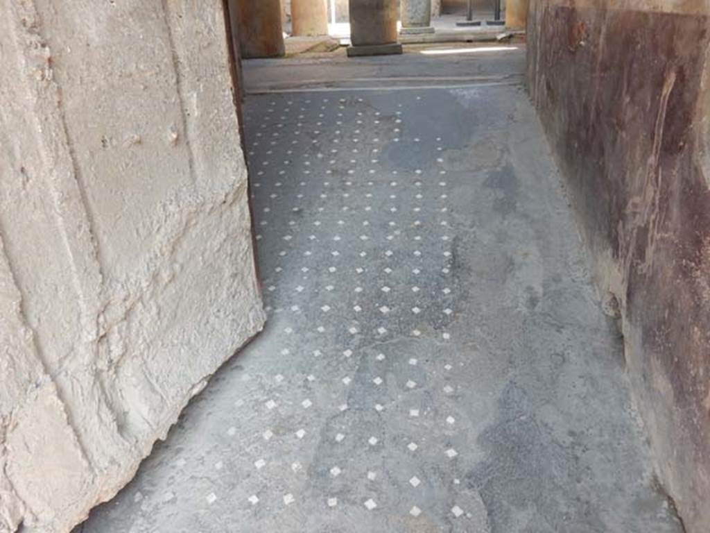 I.6.15 Pompeii. May 2015. Entrance corridor or fauces with patterned floor.
Photo courtesy of Buzz Ferebee.