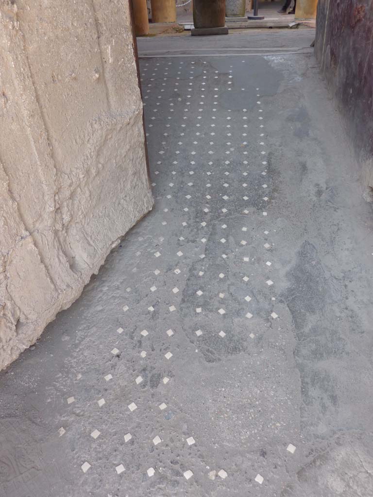 I.6.15 Pompeii. October 2014. Entrance corridor or fauces with patterned floor.           
Foto Annette Haug, ERC Grant 681269 DÉCOR