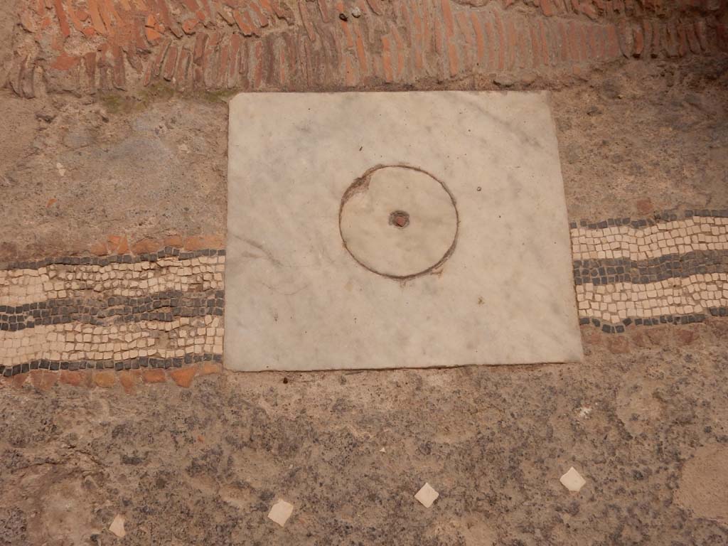 I.6.15 Pompeii. June 2019. Room 4, cistern mouth on north side of impluvium.
Photo courtesy of Buzz Ferebee.