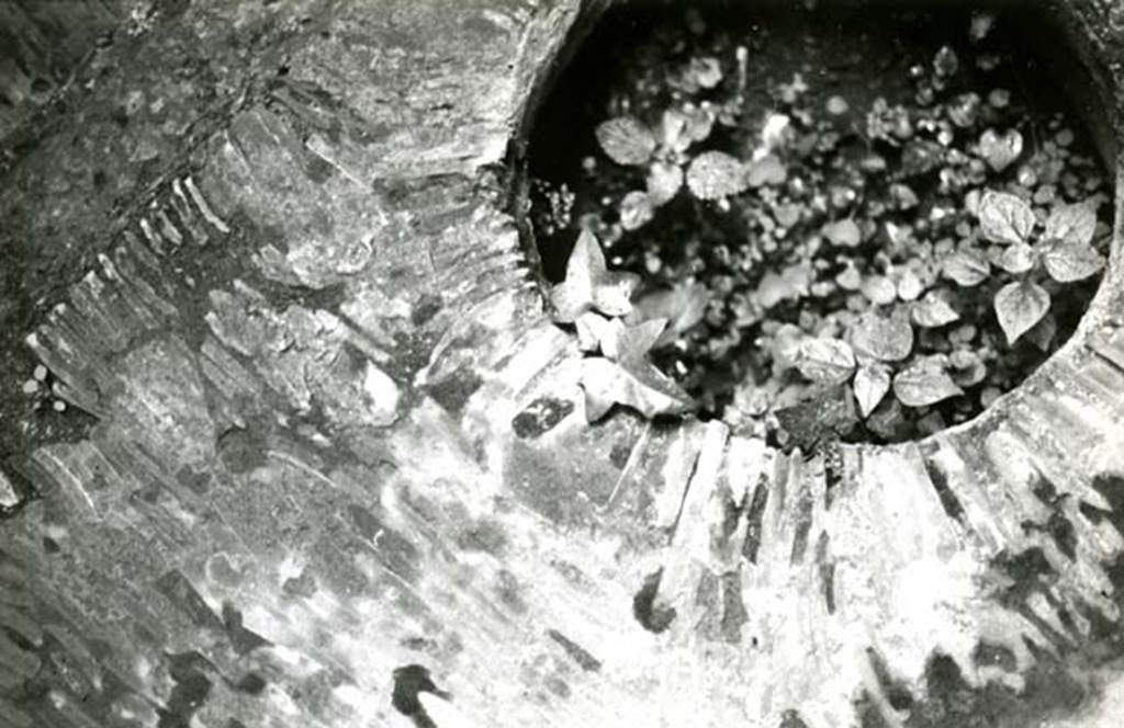 I.6.15 Pompeii. 1976. Casa dei Ceii, impluvium puteal, detail.  Photo courtesy of Anne Laidlaw.
American Academy in Rome, Photographic Archive. Laidlaw collection _P_76_3_27.