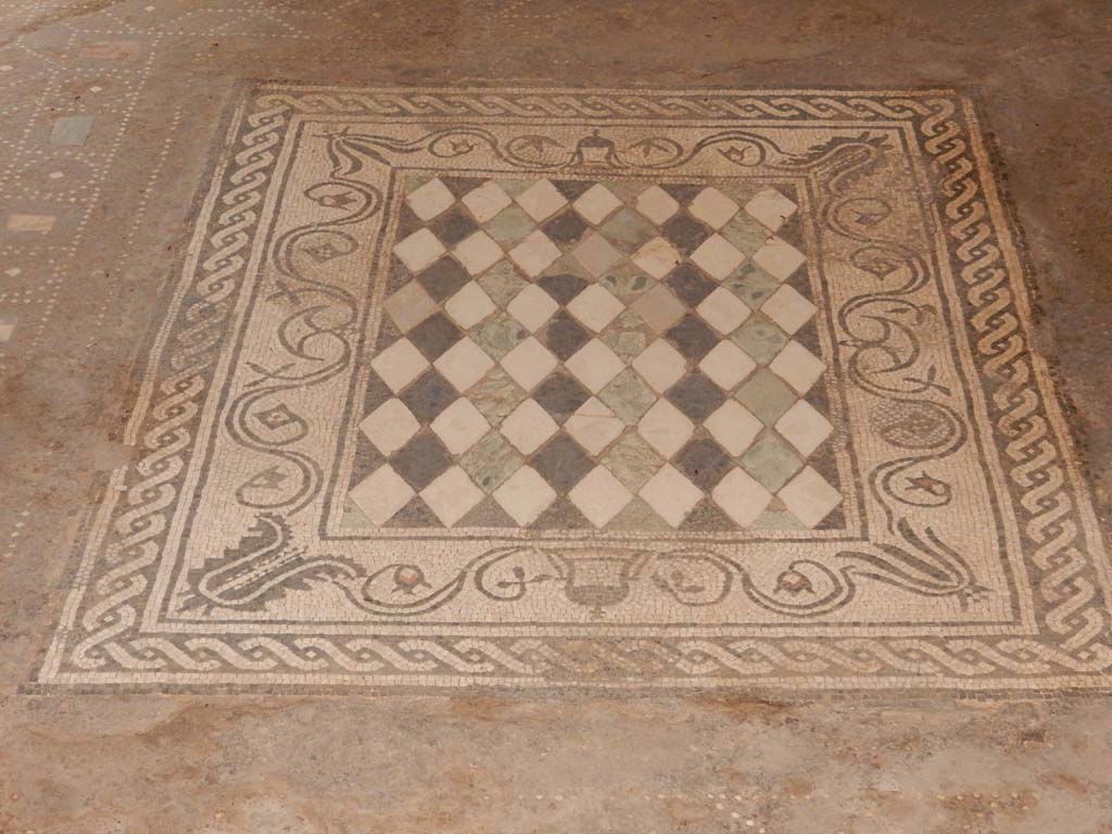 I.6.15 Pompeii. June 2019. 
Room 6, looking south across mosaic emblema in centre of floor in tablinum. Photo courtesy of Buzz Ferebee.