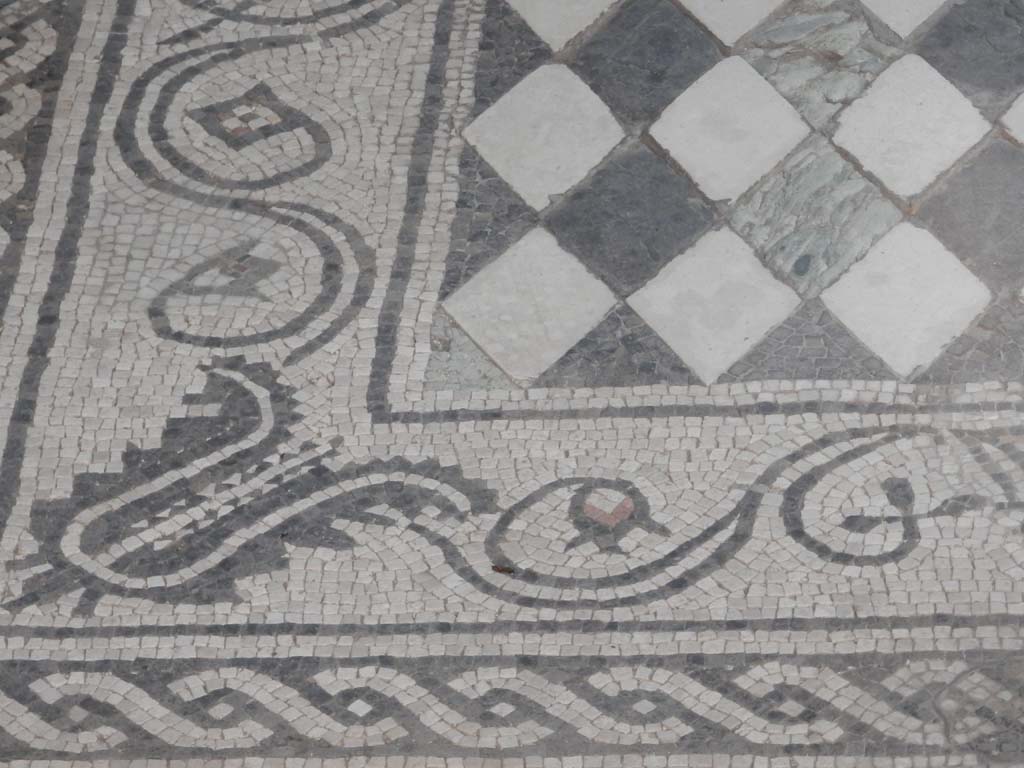 I.6.15 Pompeii. June 2019. Room 6, detail of mosaic emblema in centre of floor in tablinum. 
Photo courtesy of Buzz Ferebee.