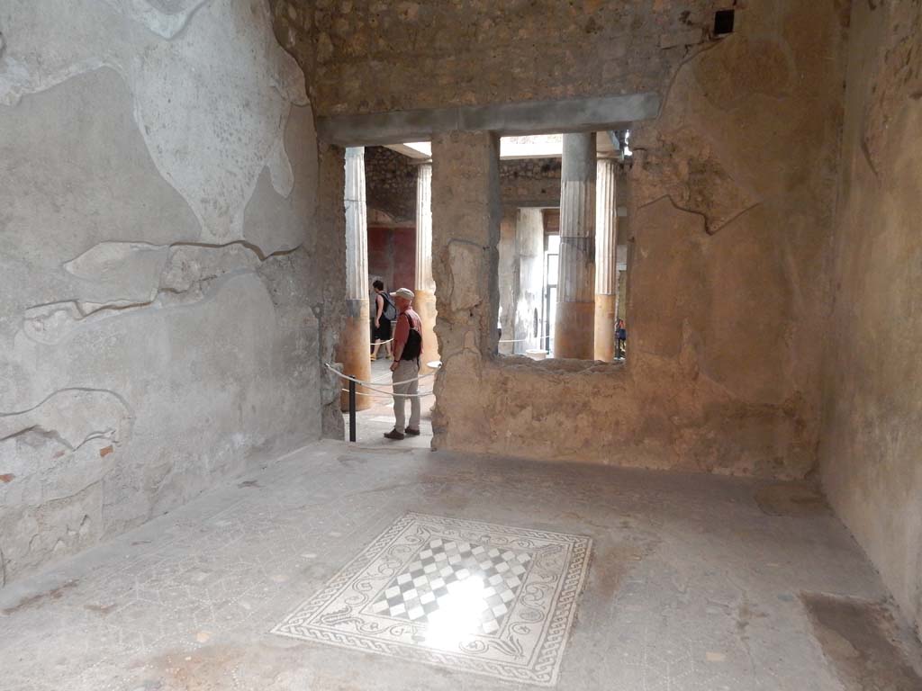 I.6.15 Pompeii. June 2019. Room 6, looking south to atrium across mosaic floor in tablinum.
Photo courtesy of Buzz Ferebee.