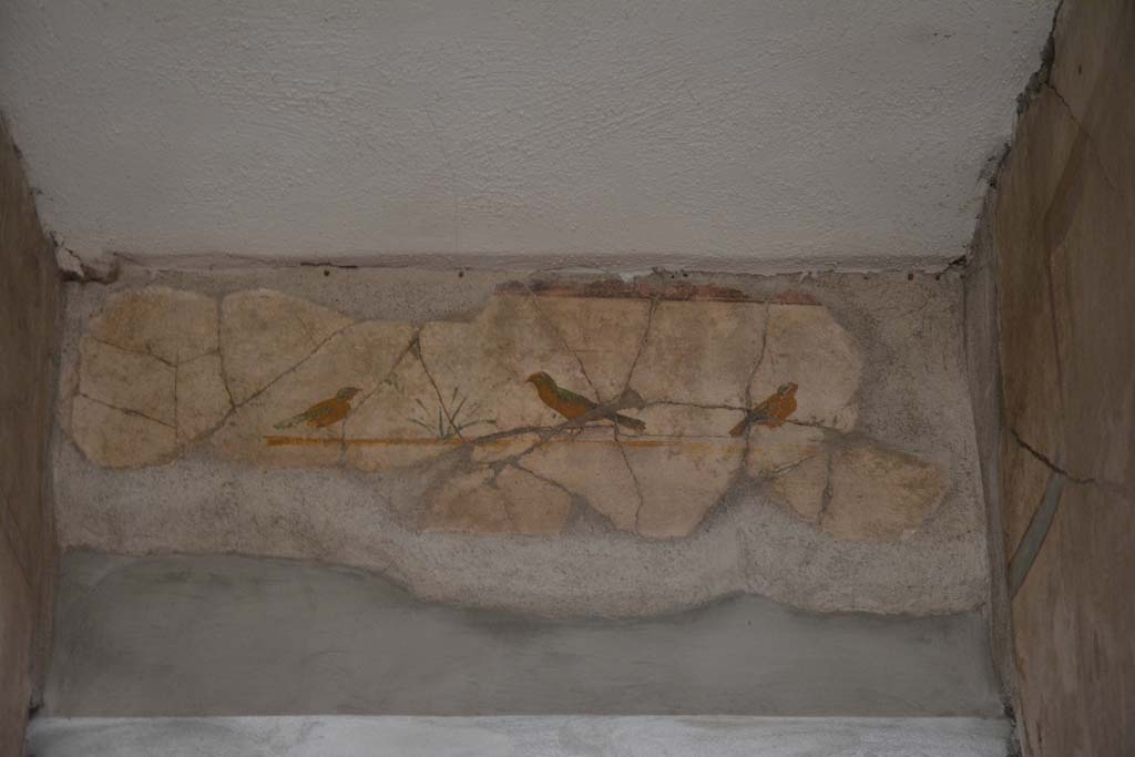I.6.15 Pompeii. March 2019. 
Corridor 7, south wall above doorway to atrium, painted birds similar to those in fauces/entrance corridor. 
Foto Annette Haug, ERC Grant 681269 DÉCOR