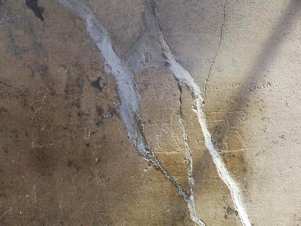 I.6.15 Pompeii. June 2009. Gladiatorial graffiti on small wall between corridor 7 and room 6.