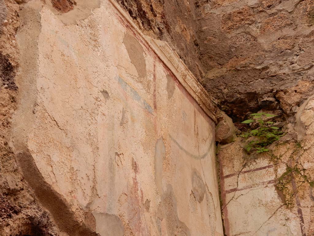 I.6.15 Pompeii. June 2019. Room 8, upper south wall. Photo courtesy of Buzz Ferebee.