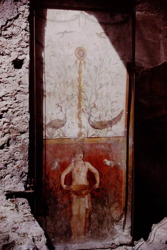 I.6.15 Pompeii. 1964. Room 9, small garden. Wall on south-west side. Picture of figure holding a basin with birds, plants and a medallion. Photo by Stanley A. Jashemski.
Source: The Wilhelmina and Stanley A. Jashemski archive in the University of Maryland Library, Special Collections (See collection page) and made available under the Creative Commons Attribution-Non Commercial License v.4. See Licence and use details.
J64f1266