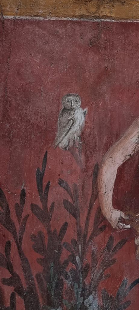 I.6.15 Pompeii. December 2023.
Room 9, painted owl on south-west side of small garden. 
Photo courtesy of Miriam Colomer.