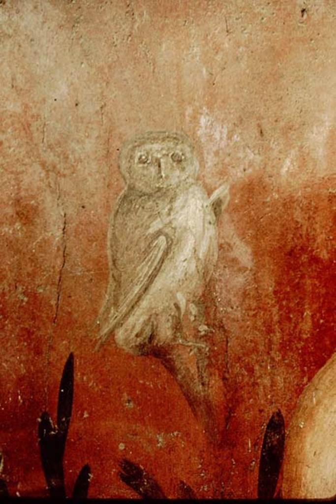 I.6.15 Pompeii. 1964. Room 9, small garden, wall on south-west side. Owl. Photo by Stanley A. Jashemski.
Source: The Wilhelmina and Stanley A. Jashemski archive in the University of Maryland Library, Special Collections (See collection page) and made available under the Creative Commons Attribution-Non Commercial License v.4. See Licence and use details.
J64f1402