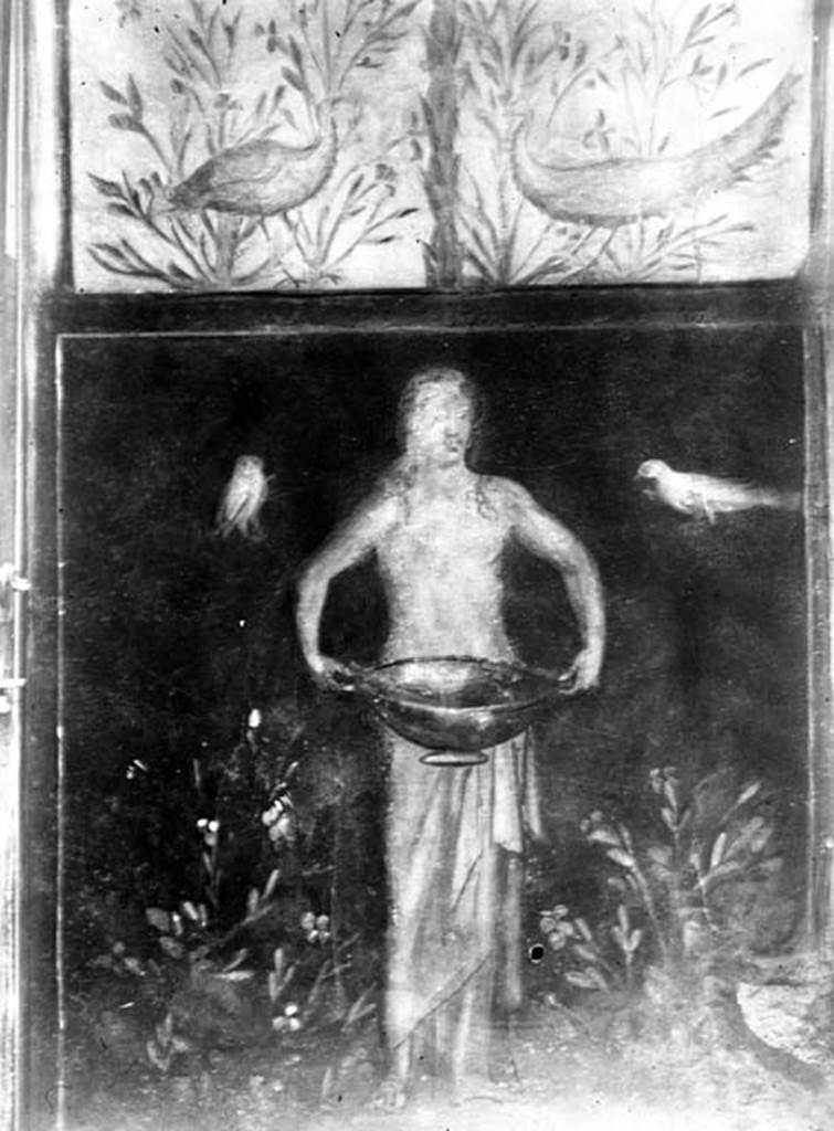 231952 Bestand-D-DAI-ROM-W.391.jpg
1.6.15 Pompeii.  W.391. Room 9, small garden. Wall on west side. Picture with birds, plants and a figure holding a basin or bowl.
Photo by Tatiana Warscher. With kind permission of DAI Rome, whose copyright it remains. 
See http://arachne.uni-koeln.de/item/marbilderbestand/231952