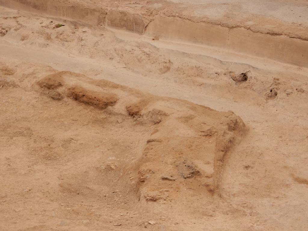 I.6.15 Pompeii. June 2019. Room 9, detail of garden area flooring in south-east corner.
Photo courtesy of Buzz Ferebee.