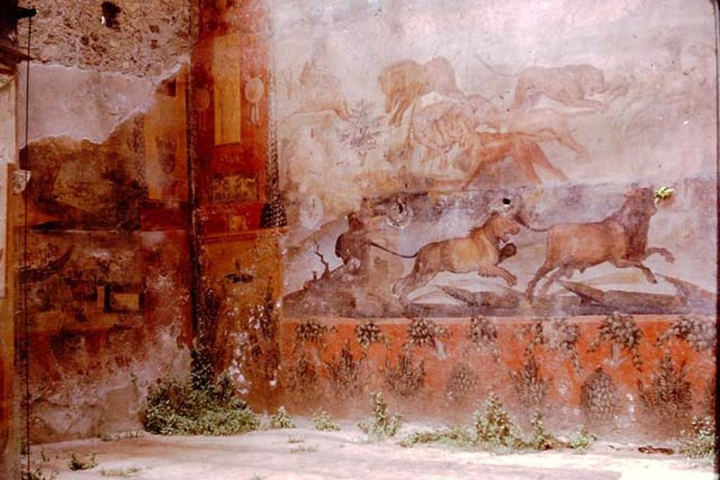 I.6.15 Pompeii. 1961. Room 9, north end of west wall and north-west corner of small garden area. Photo by Stanley A. Jashemski.
Source: The Wilhelmina and Stanley A. Jashemski archive in the University of Maryland Library, Special Collections (See collection page) and made available under the Creative Commons Attribution-Non Commercial License v.4. See Licence and use details.
J61f0344