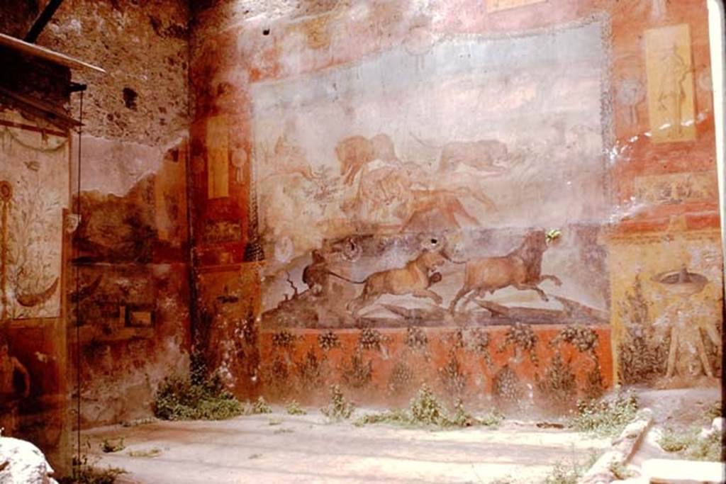 I.6.15 Pompeii. 1961. West and north wall of small garden. Photo by Stanley A. Jashemski.
Source: The Wilhelmina and Stanley A. Jashemski archive in the University of Maryland Library, Special Collections (See collection page) and made available under the Creative Commons Attribution-Non Commercial License v.4. See Licence and use details.
J61f0345