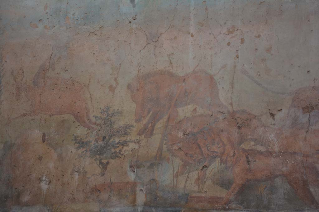 I.6.15 Pompeii. March 2019. Room 9, detail from hunt painting on north wall.  
Foto Annette Haug, ERC Grant 681269 DÉCOR