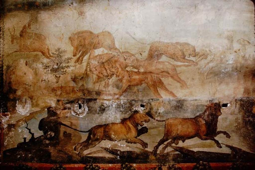I.6.15 Pompeii. 1964.  Room 9, north wall of small garden. Detail from painting of animal hunt scene. Photo by Stanley A. Jashemski.
Source: The Wilhelmina and Stanley A. Jashemski archive in the University of Maryland Library, Special Collections (See collection page) and made available under the Creative Commons Attribution-Non Commercial License v.4. See Licence and use details.
J64f1530