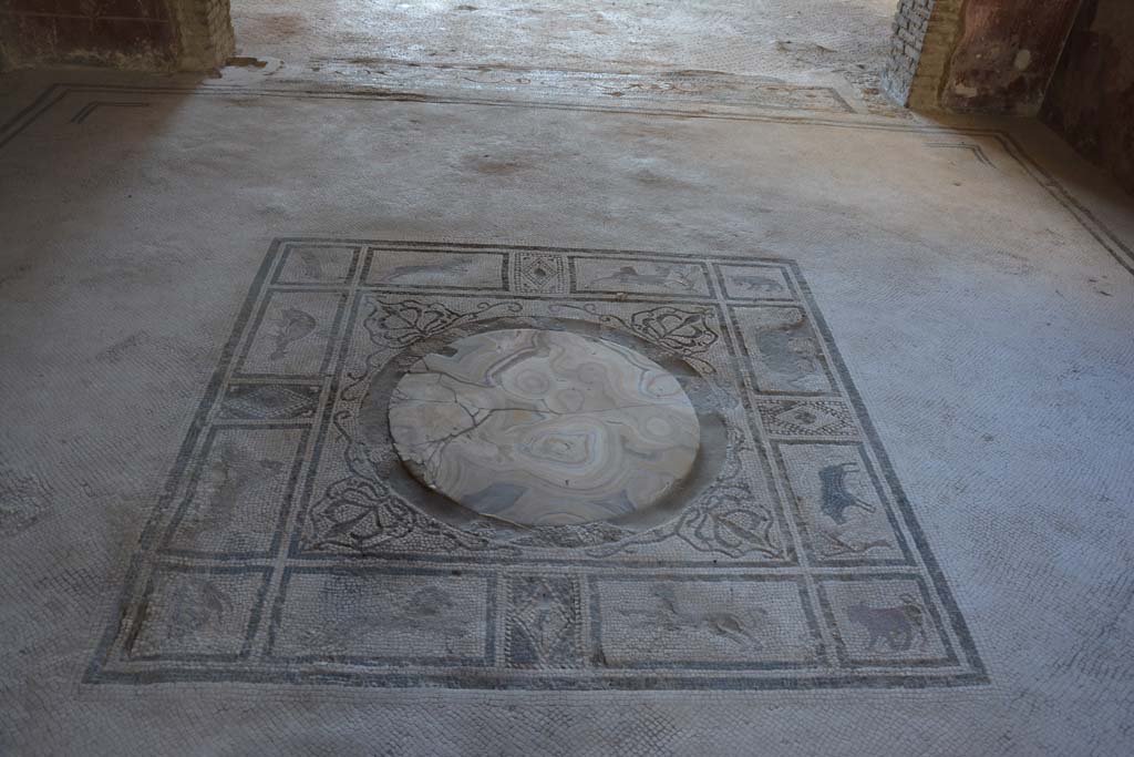 I.7.1 Pompeii. October 2019. Looking south across mosaic emblem in centre of tablinum floor.
Foto Annette Haug, ERC Grant 681269 DÉCOR.