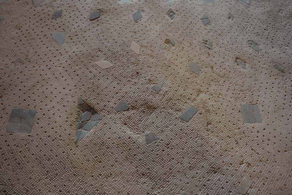 I.7.1 Pompeii. October 2019. Detail of flooring in oecus.
Foto Annette Haug, ERC Grant 681269 DÉCOR.