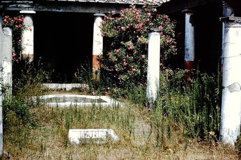 I.7.1 Pompeii. 1959. Looking north across garden, from between the columns that would have surrounded a triclinium.
Photo by Stanley A. Jashemski.
Source: The Wilhelmina and Stanley A. Jashemski archive in the University of Maryland Library, Special Collections (See collection page) and made available under the Creative Commons Attribution-Non-Commercial License v.4. See Licence and use details.
J59f0353
According to Jashemski –
In the middle of the garden, four columns formed a shady pergola over a wooden triclinium’ the imprint of individual boards and of the crosspieces that held them together were clearly preserved. About fifty large nails were retrieved. 
In front of the triclinium there was a marble-faced basin of rectangular form with an apse-shaped extension on the north. 
This pool, which had a fountain jet, was connected with a smaller marble basin between the couches of the triclinium.
See Jashemski, W. F., 1993. The Gardens of Pompeii, Volume II: Appendices. New York: Caratzas. (p.37).
According to Soprano –
Ubicazione: peristilio.
Bibliog. “Not. Scavi”, 1929, p.386.
Al centro del peristilio s’innalzavano quattro sottili colonne disposte in quadrato che certamente erano destinate a reggere un pergolato.
Al centro dell’area coperta del pergolato, presso una vaschetta marmorea, furon rinvenute, al momento dello scavo, le impronte di un triclinio in legno,   
Era formato da tavole collegate da quattro listelli inchiodati con robusti chiodi di cui furono trovati una cinquantina.
A settentrione del triclinio c’era una piscina di forma rettangolare, con uno dei lati absidati.
See Soprano, P. (1950). I triclini all’aperto di Pompei. (In Pompeiana, raccolta di studi per il secondo centenario degli scavi di Pompei. Napoli, Gaetano Macchiaroli, Editore, P. 307, no.30 ).
Source: The Wilhelmina and Stanley A. Jashemski archive in the University of Maryland Library, Special Collections (See collection page) and made available under the Creative Commons Attribution-Non Commercial License v.4. See Licence and use details.
J59f0353