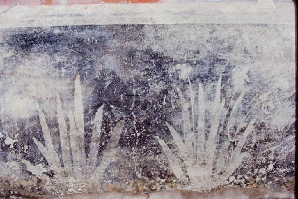 I.7.1 Pompeii, 1968. Detail of painted plants on west wall of portico.  Photo by Stanley A. Jashemski.
Source: The Wilhelmina and Stanley A. Jashemski archive in the University of Maryland Library, Special Collections (See collection page) and made available under the Creative Commons Attribution-Non Commercial License v.4. See Licence and use details.
J68f0446