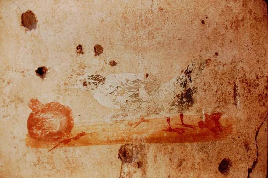 I.7.1 Pompeii, 1968.  Cubiculum on east side of entrance corridor, painting of two birds and a pomegranate, from the south wall.
Photo by Stanley A. Jashemski.
Source: The Wilhelmina and Stanley A. Jashemski archive in the University of Maryland Library, Special Collections (See collection page) and made available under the Creative Commons Attribution-Non Commercial License v.4. See Licence and use details.
J68f0451