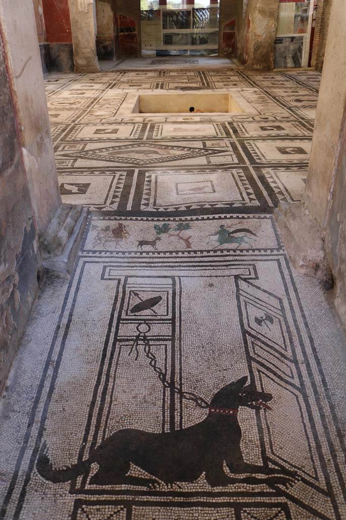 I.7.1 Pompeii. December 2018. 
Looking south towards atrium from entrance doorway across mosaic with guard-dog. 
Photo courtesy of Aude Durand