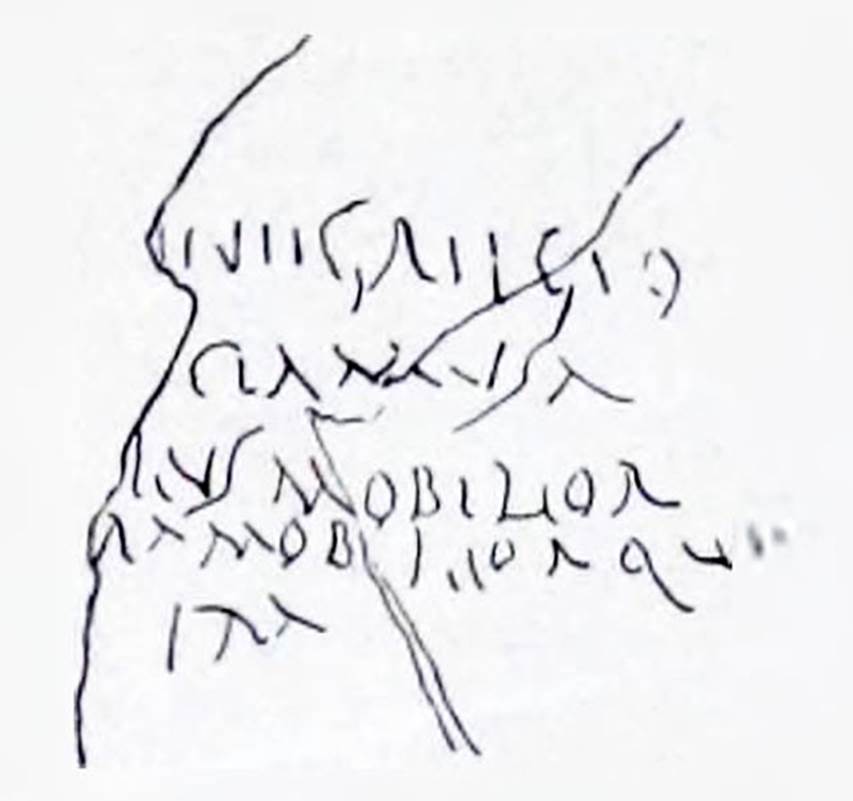 I.7.2, Pompeii. Graffiti found on east wall of the under-stairs room, written on the cocciopesto plaster. CIL IV 8136.
This graffito was missing on its left side where the plaster had completely fallen from the wall. 
In NdS 1927 Maiuri interpreted this as
...n egregio /...cla musa / ...lus mobilior / ...ula mobiliorque / ...ira
See Notizie degli Scavi di Antichità, 1927, (p. 13, n. 4).
