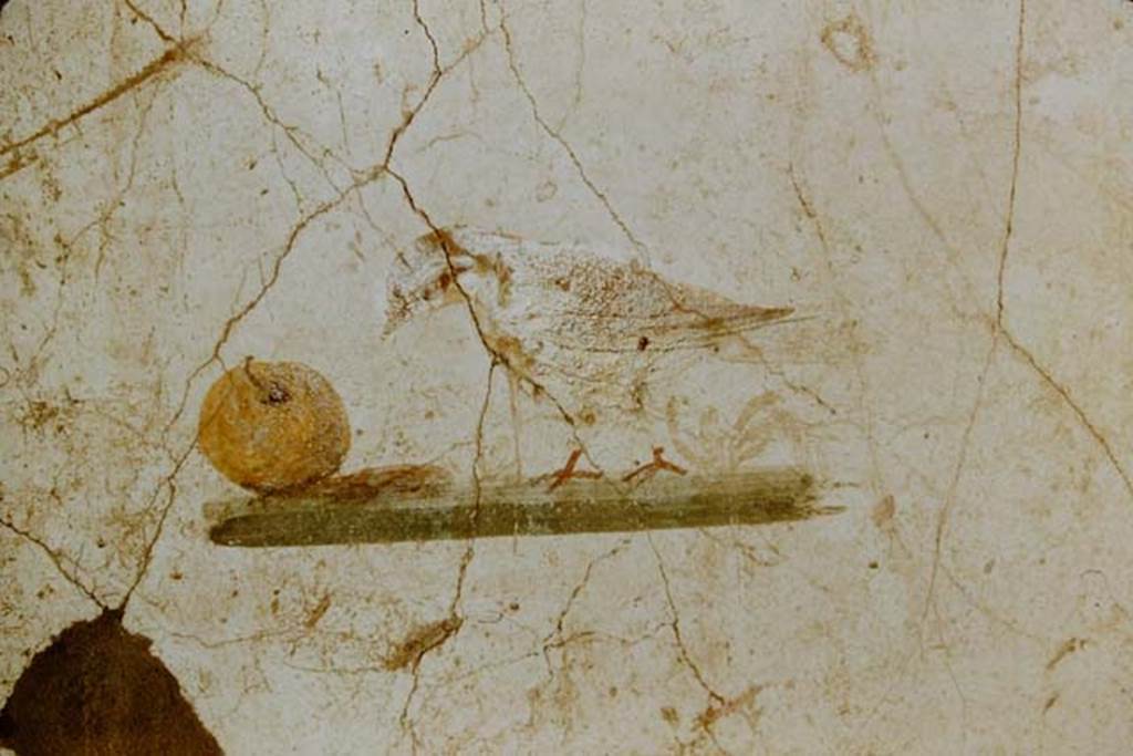 I.7.5 Pompeii. 1957. Painting of bird with fruit from east end of north wall of cubiculum.
Photo by Stanley A. Jashemski.
Source: The Wilhelmina and Stanley A. Jashemski archive in the University of Maryland Library, Special Collections (See collection page) and made available under the Creative Commons Attribution-Non Commercial License v.4. See Licence and use details.
J57f0237